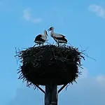 Dom wakacyjny In Linum Mit Garten- Terrasse Und Grill By Interhome