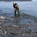 In Linum Mit Garten- Terrasse Und Grill By Interhome