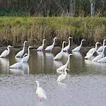 In Linum Mit Garten- Terrasse Und Grill By Interhome Fehrbellin