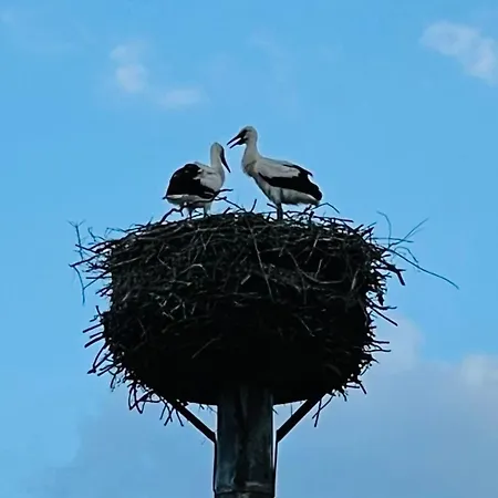 Holiday home In Mit Garten- Terrasse Und Grill By Interhome