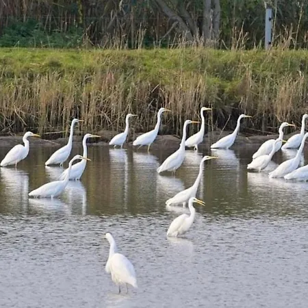 In Mit Garten- Terrasse Und Grill By Interhome Fehrbellin