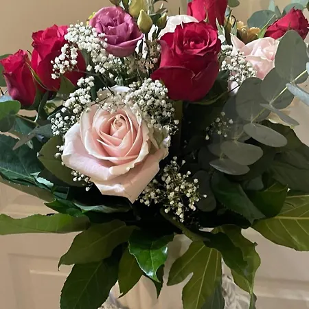 In Mit Garten- Terrasse Und Grill By Interhome Holiday home *