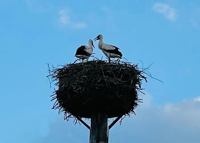 Holiday home In Mit Garten- Terrasse Und Grill By Interhome