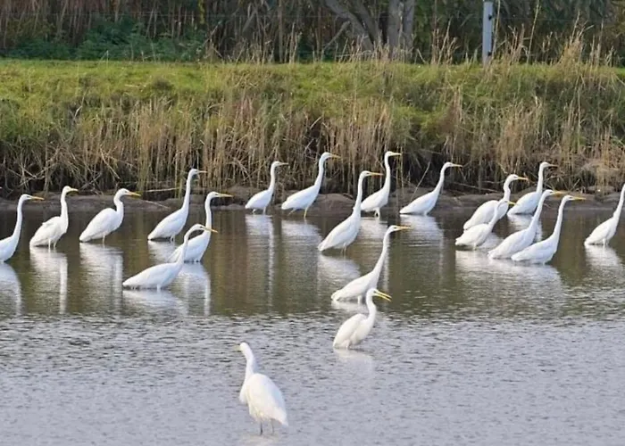 In Mit Garten- Terrasse Und Grill By Interhome Fehrbellin